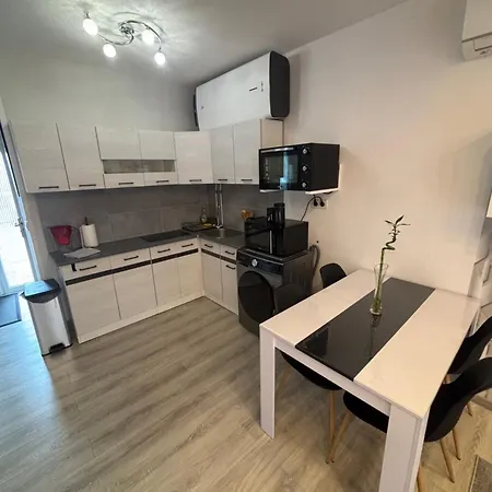 Coconpresdisney Apartment